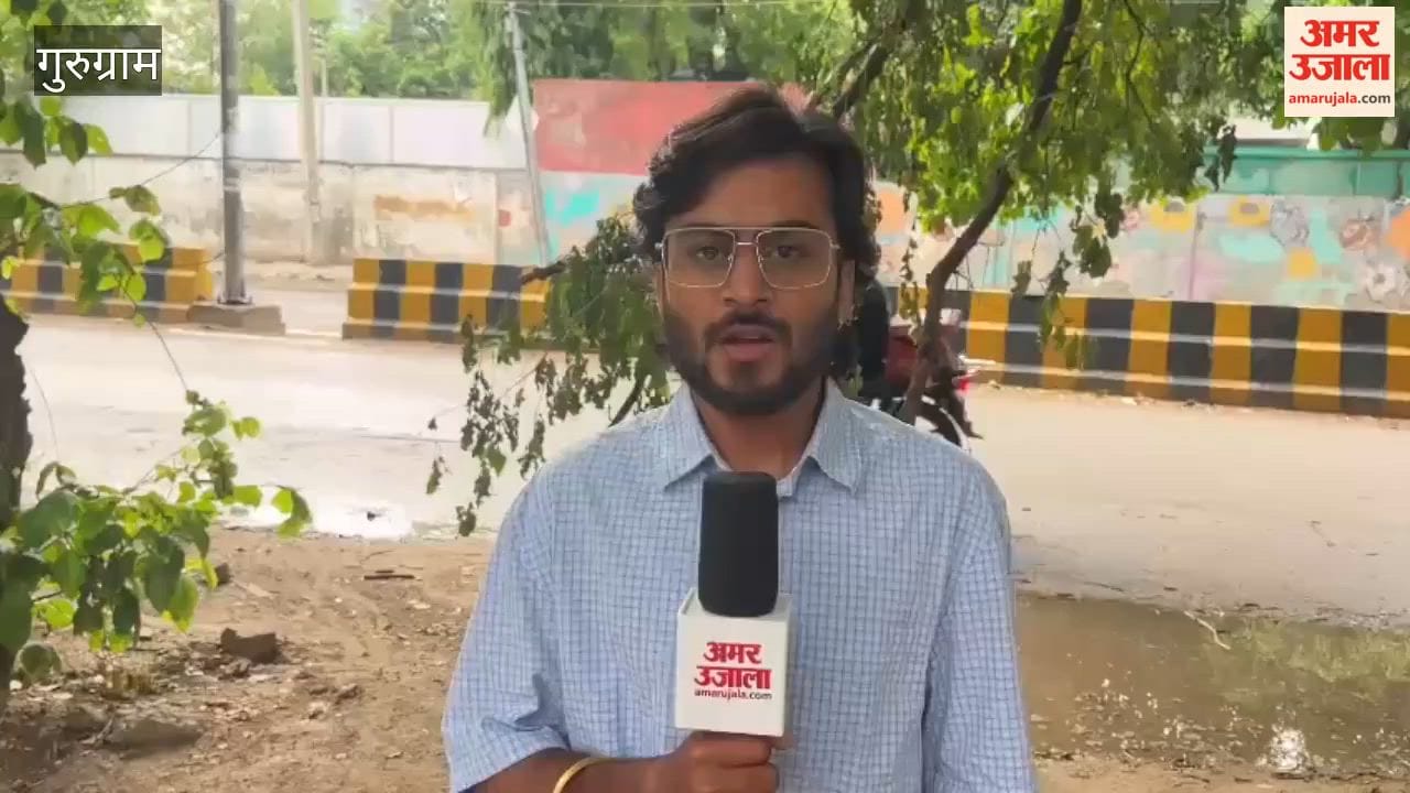 80-year-old Neem tree fell in Gurugram due to storm auto-rickshaw driver and his son escaped unhurt