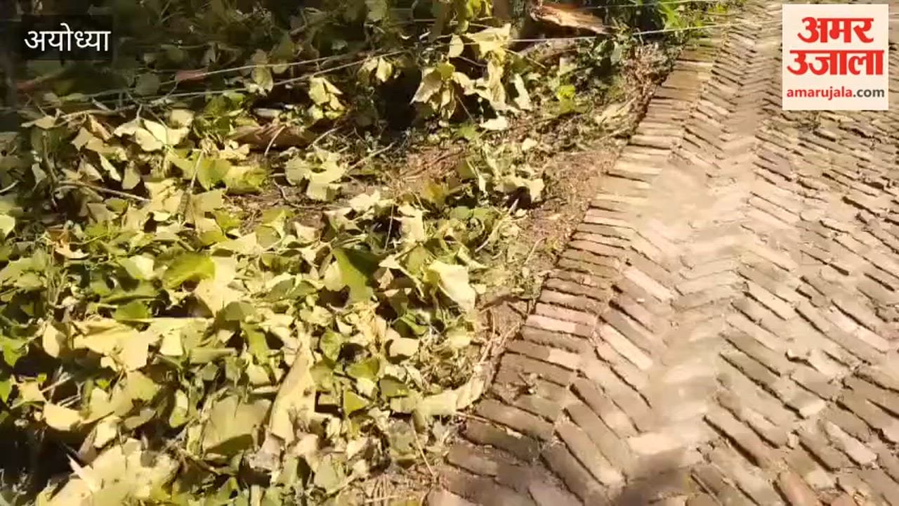 अयोध्या में आंधी से सड़क पर बिखरे तार, तीन दिन से बिजली गुल, धान रोपाई रुकी