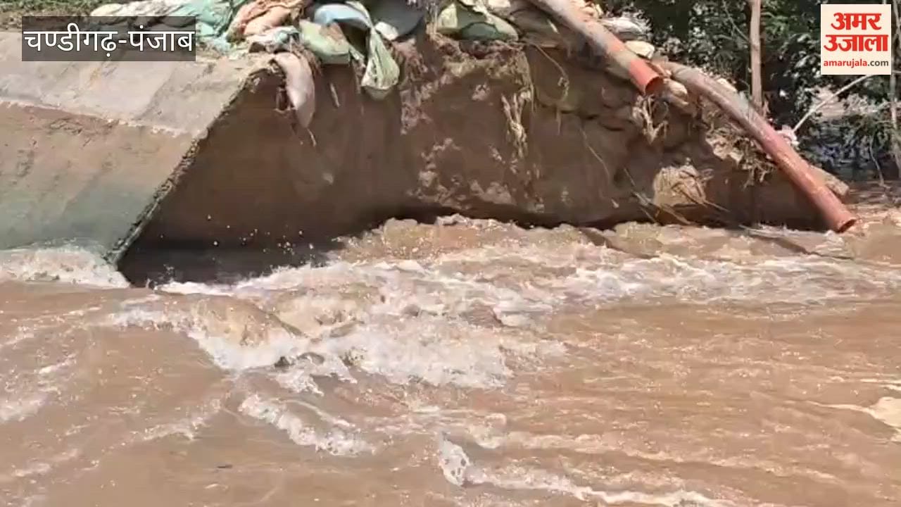 Negligence of the Canal Department