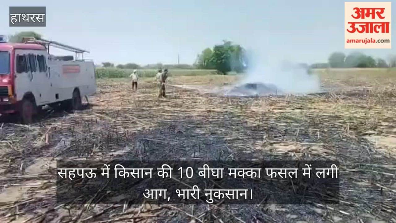 सहपऊ में किसान की 10 बीघा मक्का फसल में लगी आग, भारी नुकसान