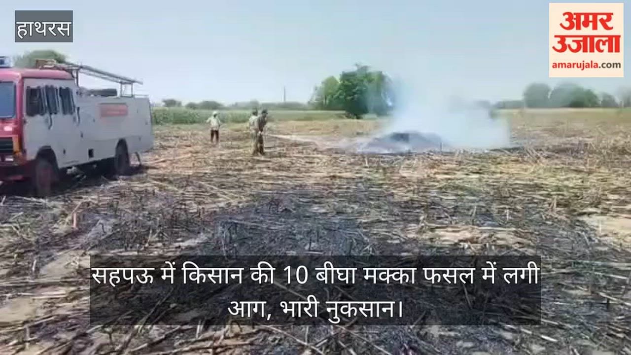 सहपऊ में किसान की 10 बीघा मक्का फसल में लगी आग, भारी नुकसान