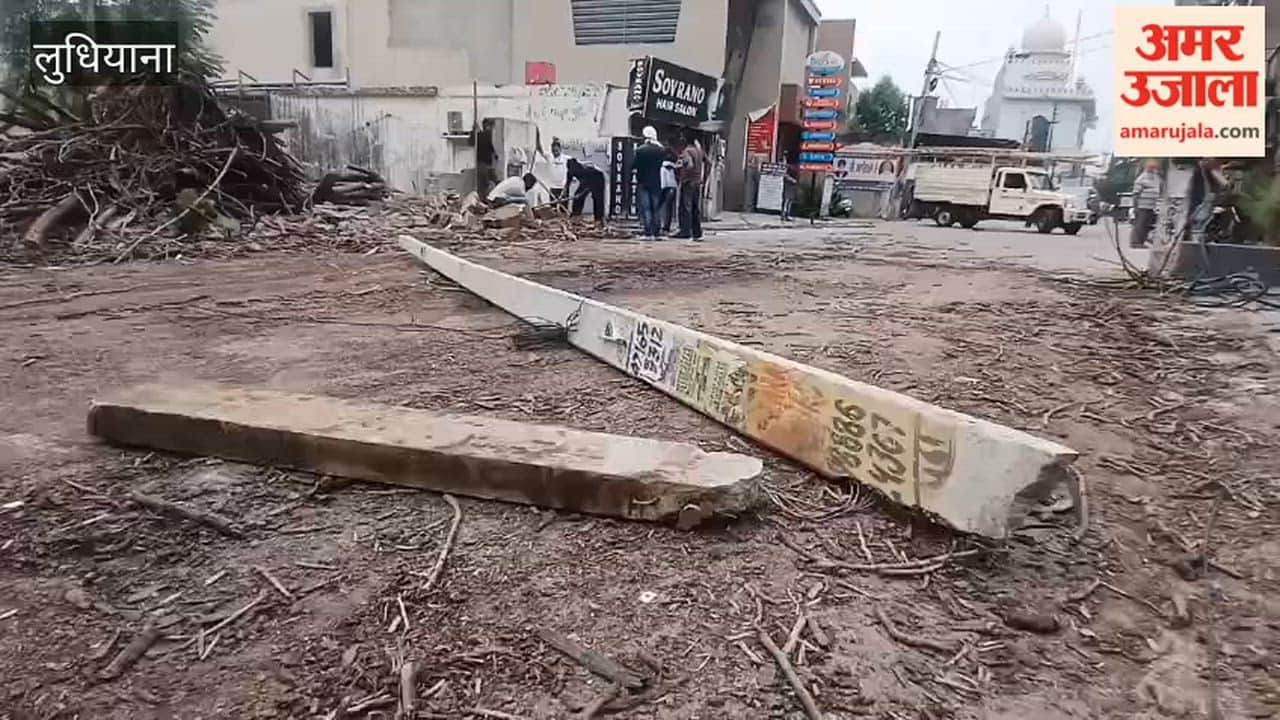 Tree falls near Deep Gurudwara in Model Town, Ludhiana.