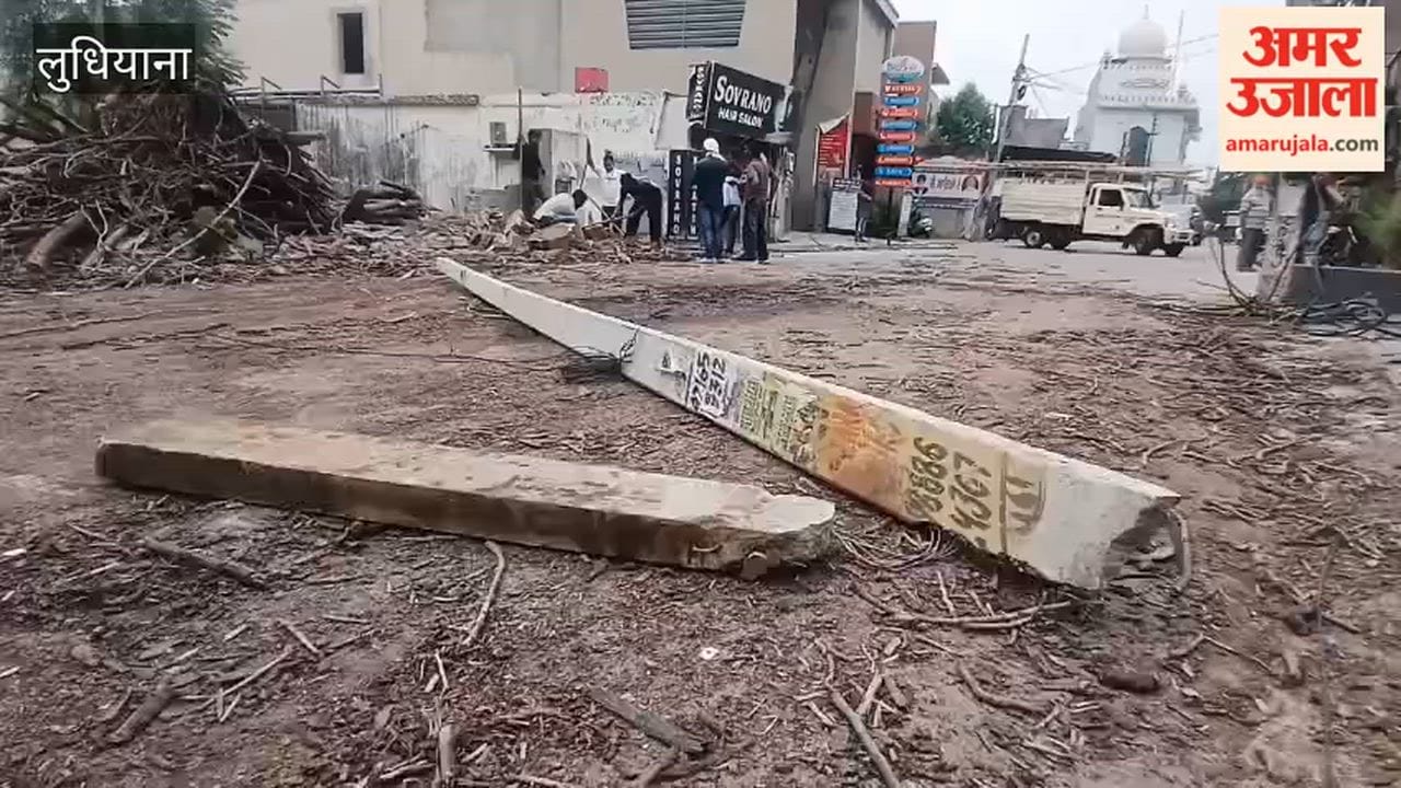Tree falls near Deep Gurudwara in Model Town, Ludhiana.