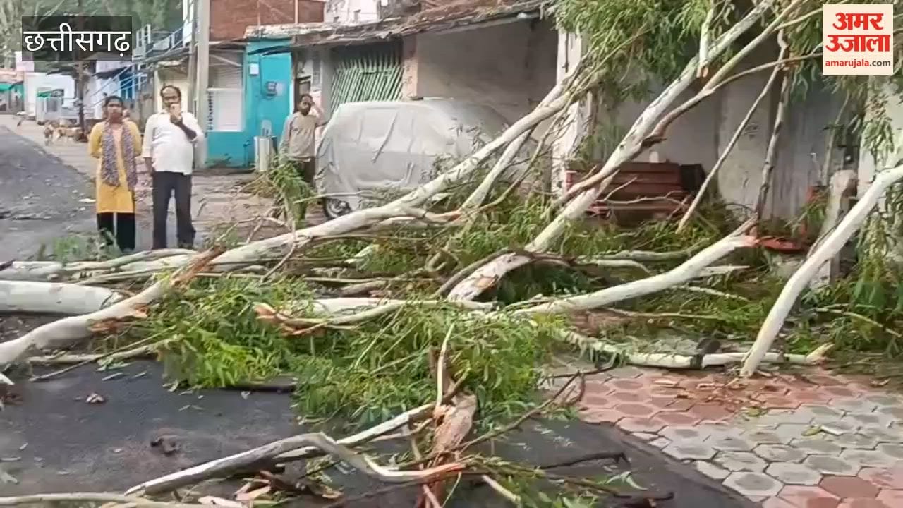 Strong winds topple several trees in Manendragarh and three shops and a house hit