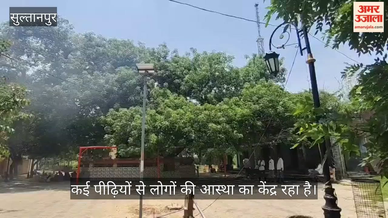 VIDEO: देव वृक्ष पारिजात: हर इच्छा पूरी कर देता है ये वृक्ष, दूर-दूर से दर्शन के लिए आते हैं श्रद्धालु