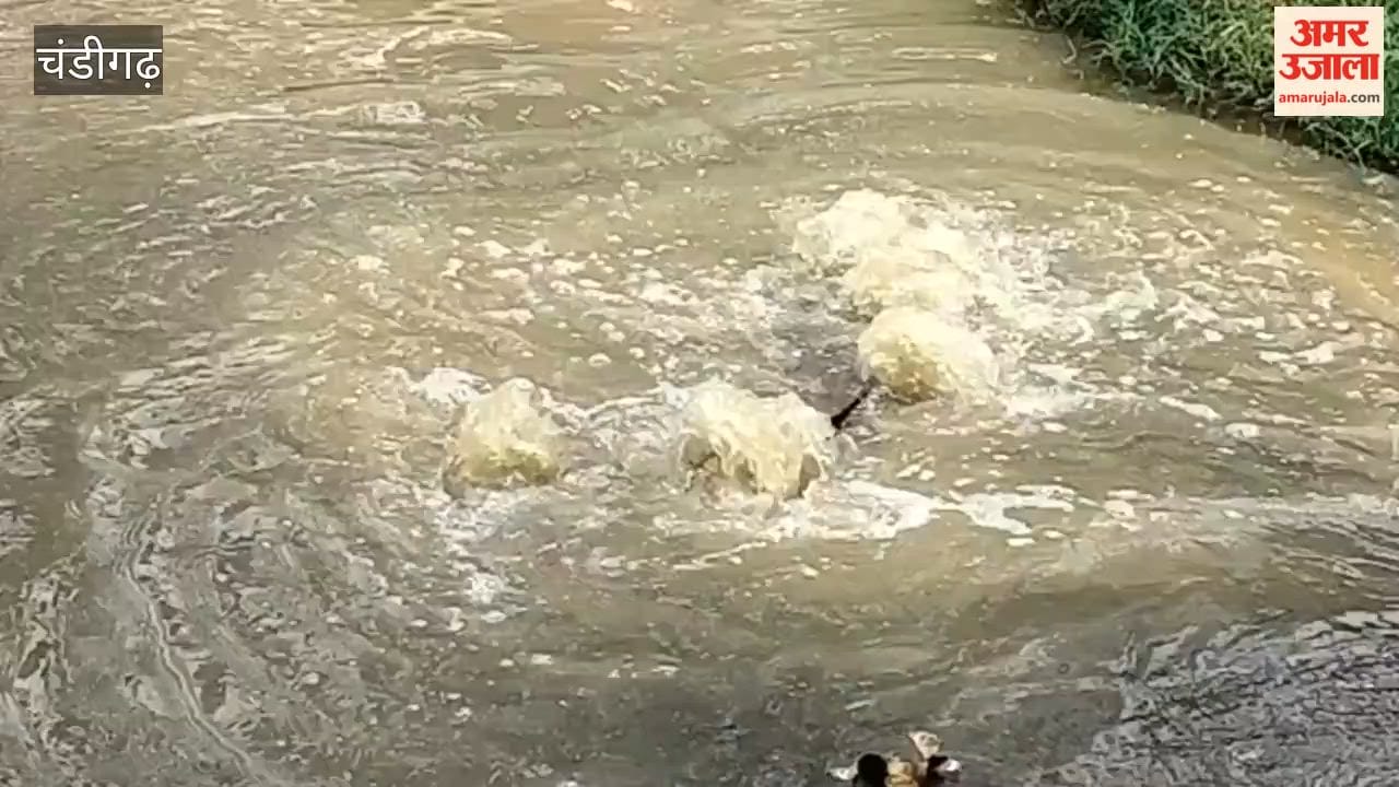 Sewage water flowing onto the cycle track adjacent to PGI Chandigarh.