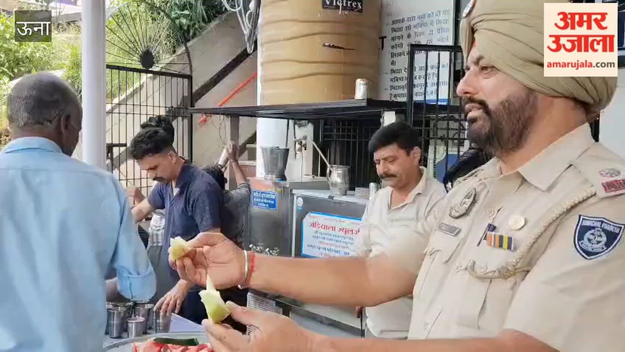 Service and Devotion Mark Nirjala Ekadashi at Chintpurni Temple