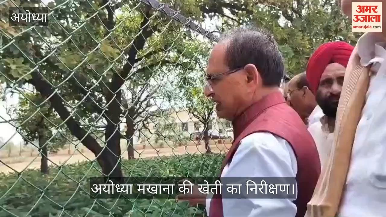 अयोध्या: केंद्रीय कृषि मंत्री शिवराज सिंह चौहान ने मखाना की खेती का निरीक्षण किया.