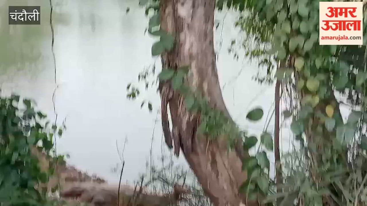 Crocodile spotted resting banks Chandraprabha River villagers intrigued