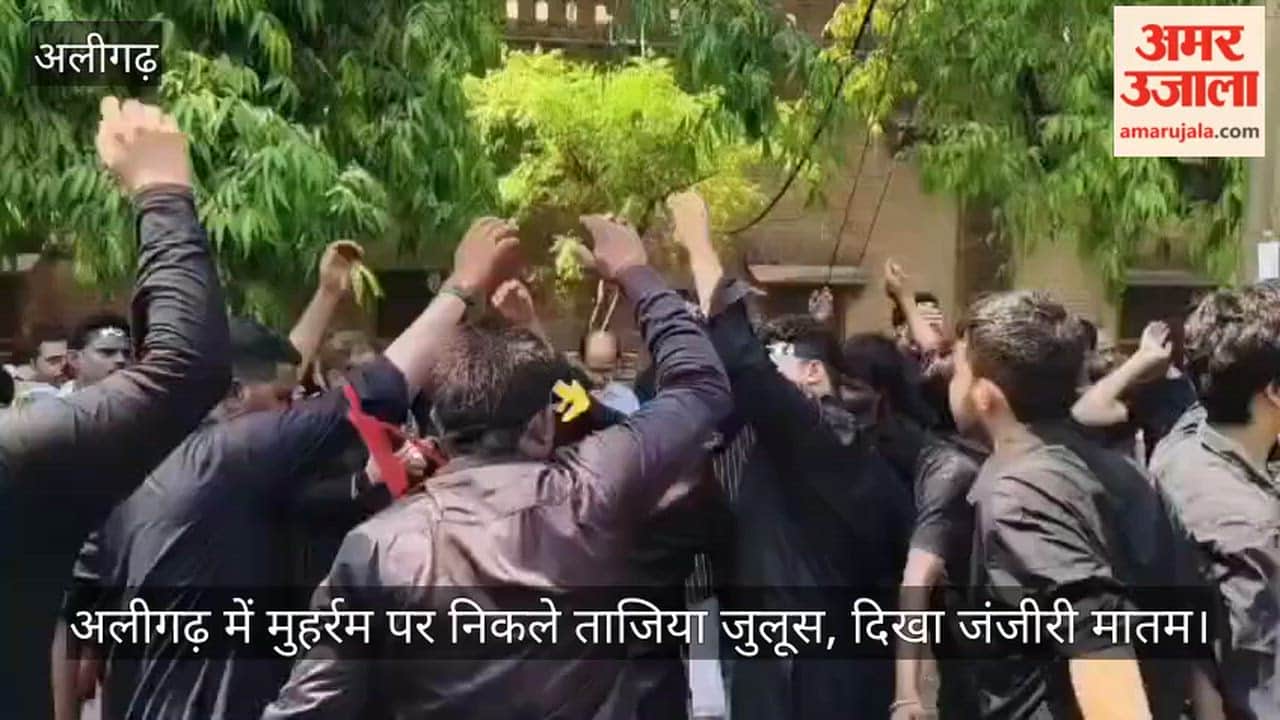 अलीगढ़ में मुहर्रम पर निकले ताजिया जुलूस, दिखा जंजीरी मातम