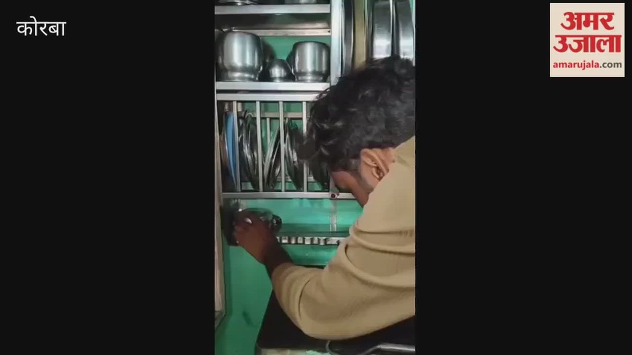India most venomous snake Common Krait found in a home kitchen