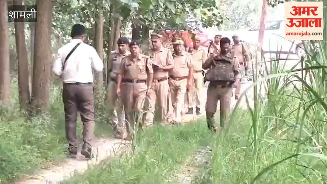 Shamli: rs50,000 Rewarded Criminal Mehtab Killed in Police Encounter, Sub-Inspector Injured