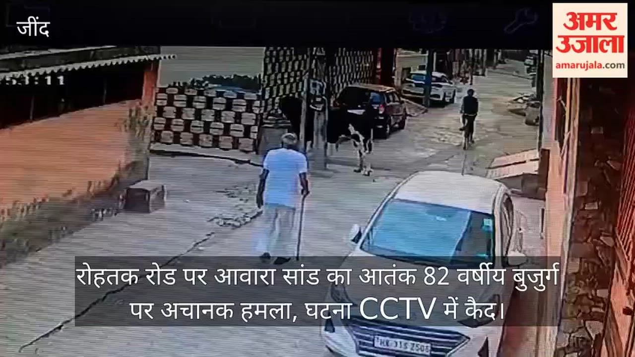Bull injures elderly man.