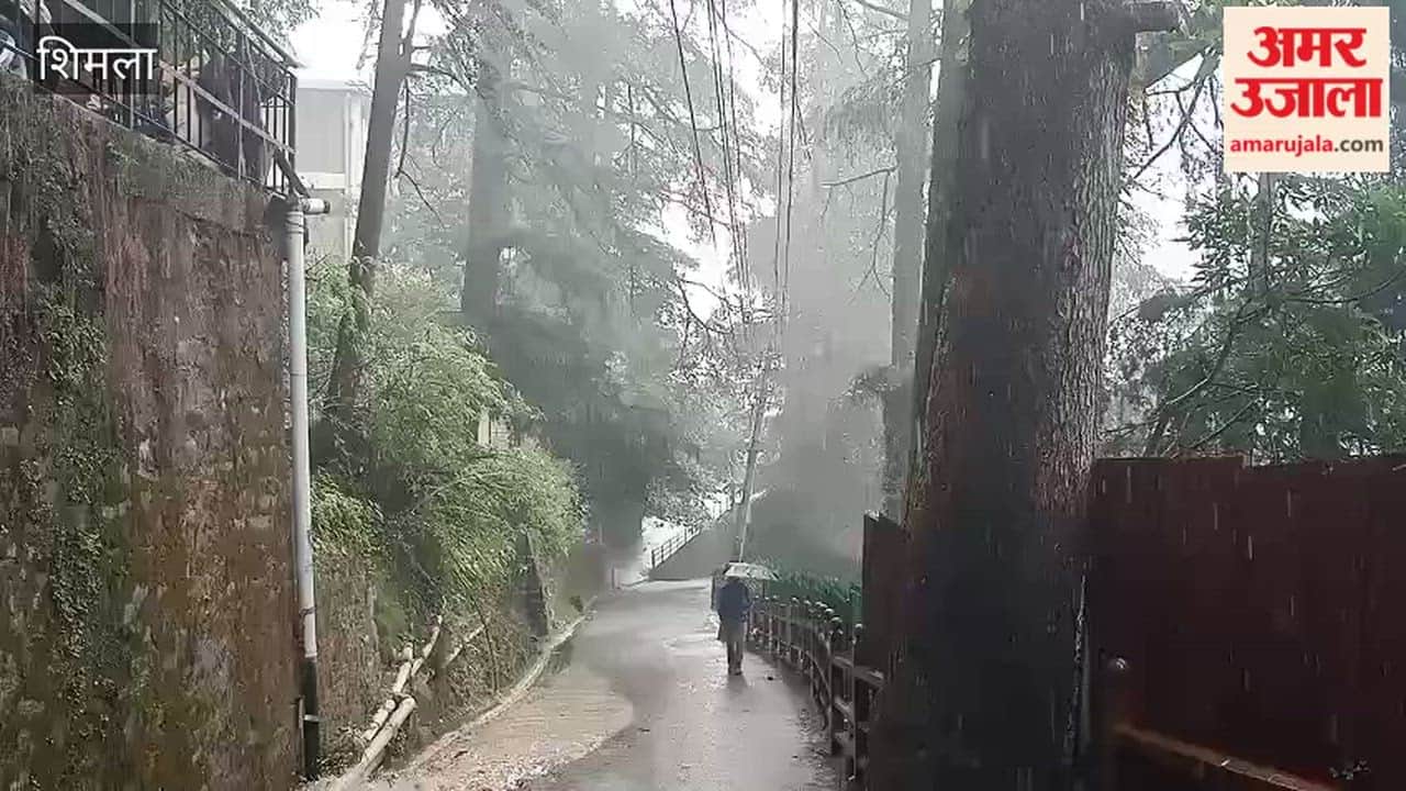 Shimla: Heavy rain in Shimla on Friday weather turns pleasantly cool