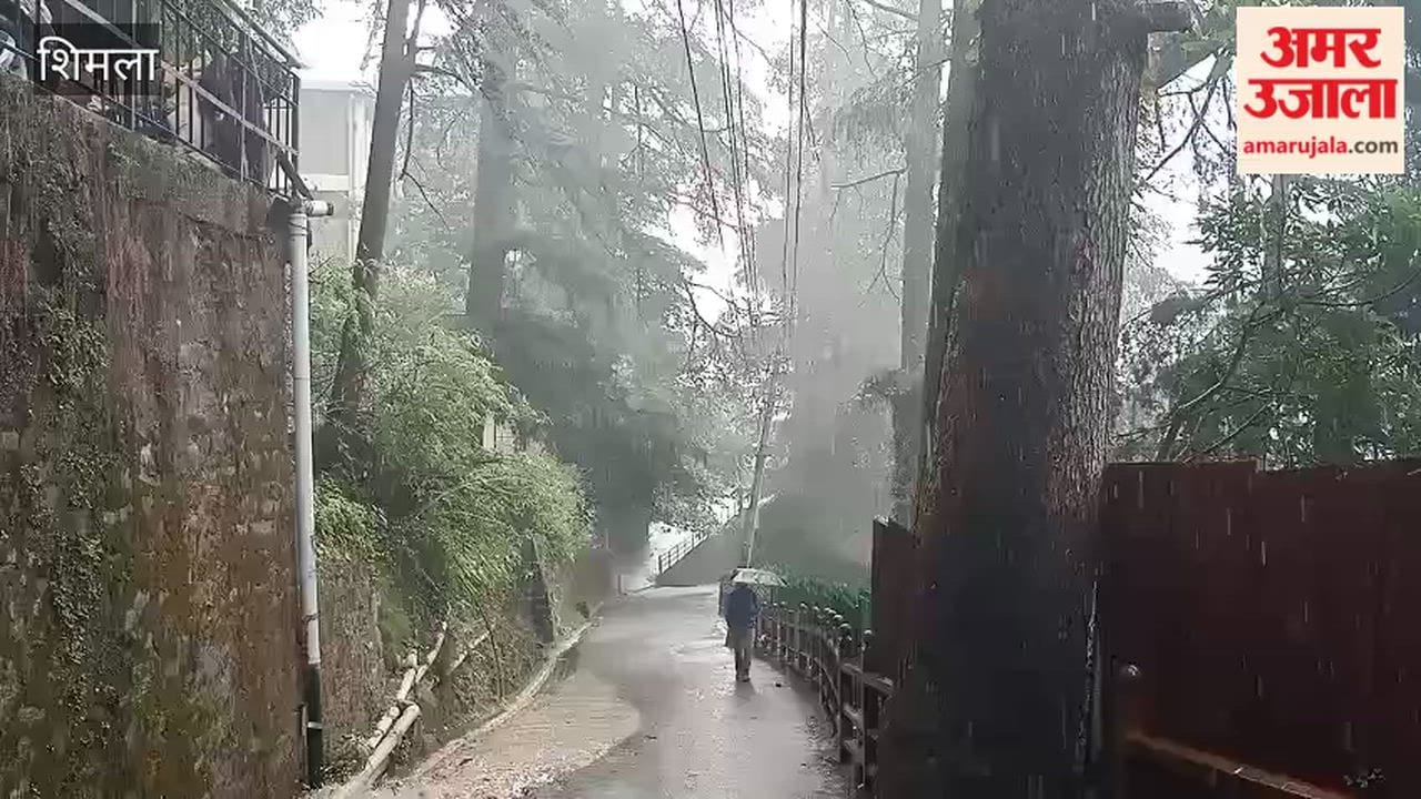 Shimla: Heavy rain in Shimla on Friday weather turns pleasantly cool