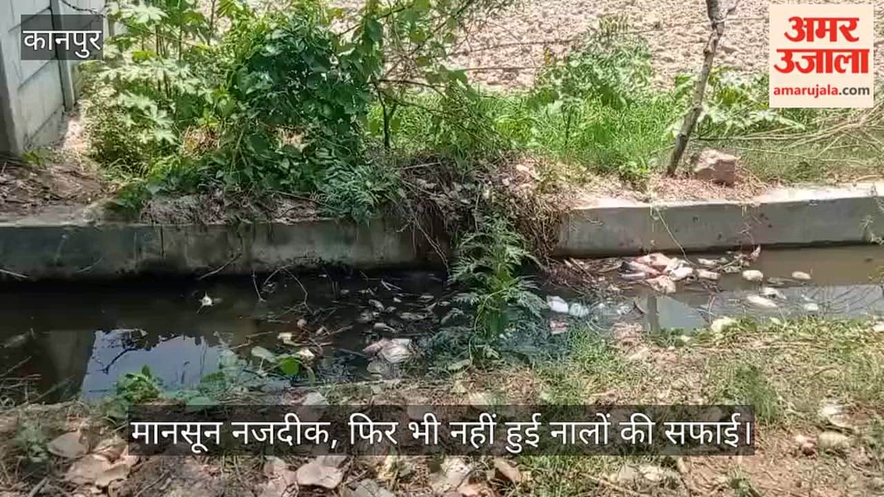 Kanpur Drains choked with heaps of grass and filth drains in Lodhar and Kursauli are overflowing with muck