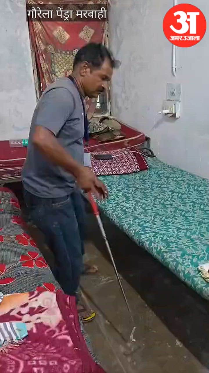 Venomous cobra enters SDM office snake rescuer Dwarika Kol captures it in GPM