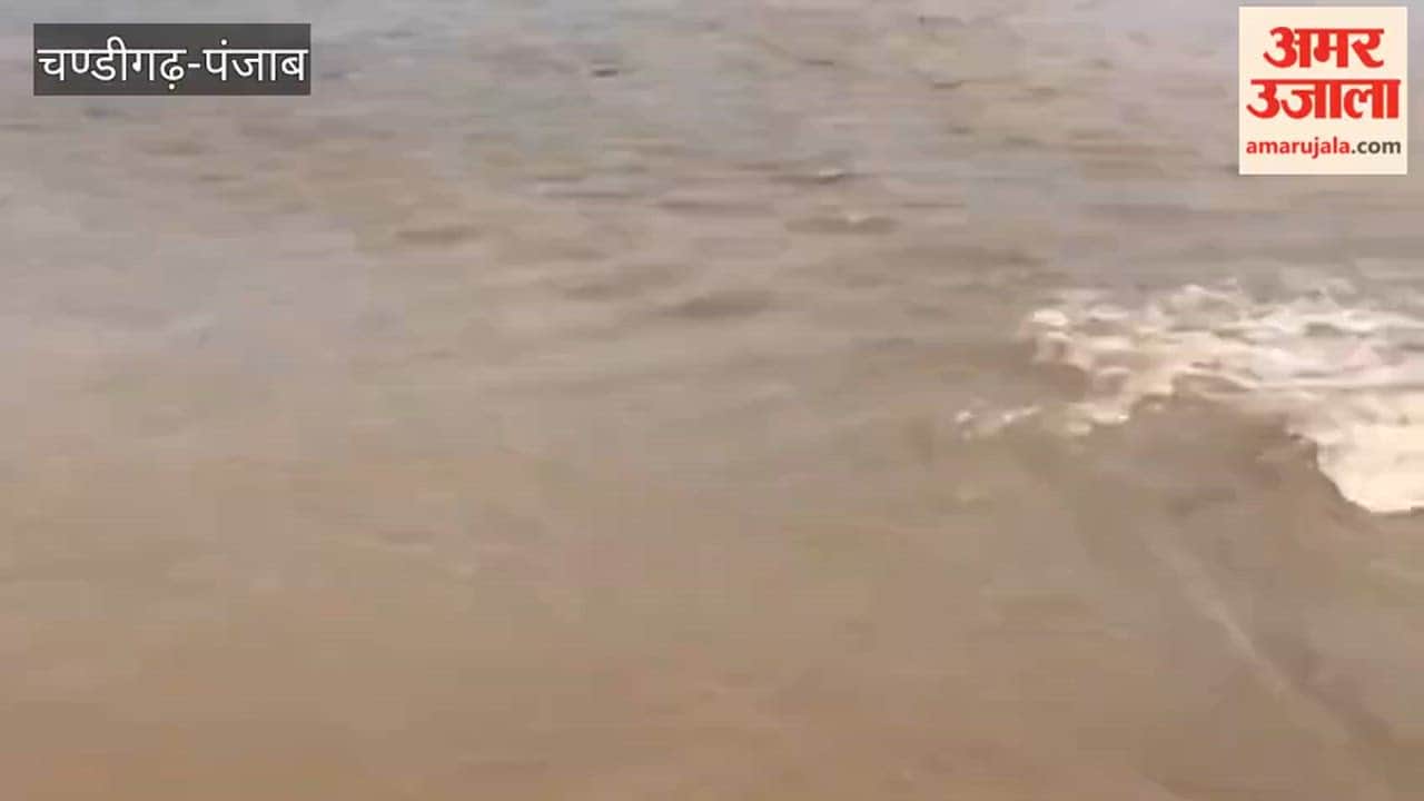 Boote Shah Canal broke at two places in Ferozepur, submerging hundreds of acres of paddy crop; farmers accused the department of negligence.