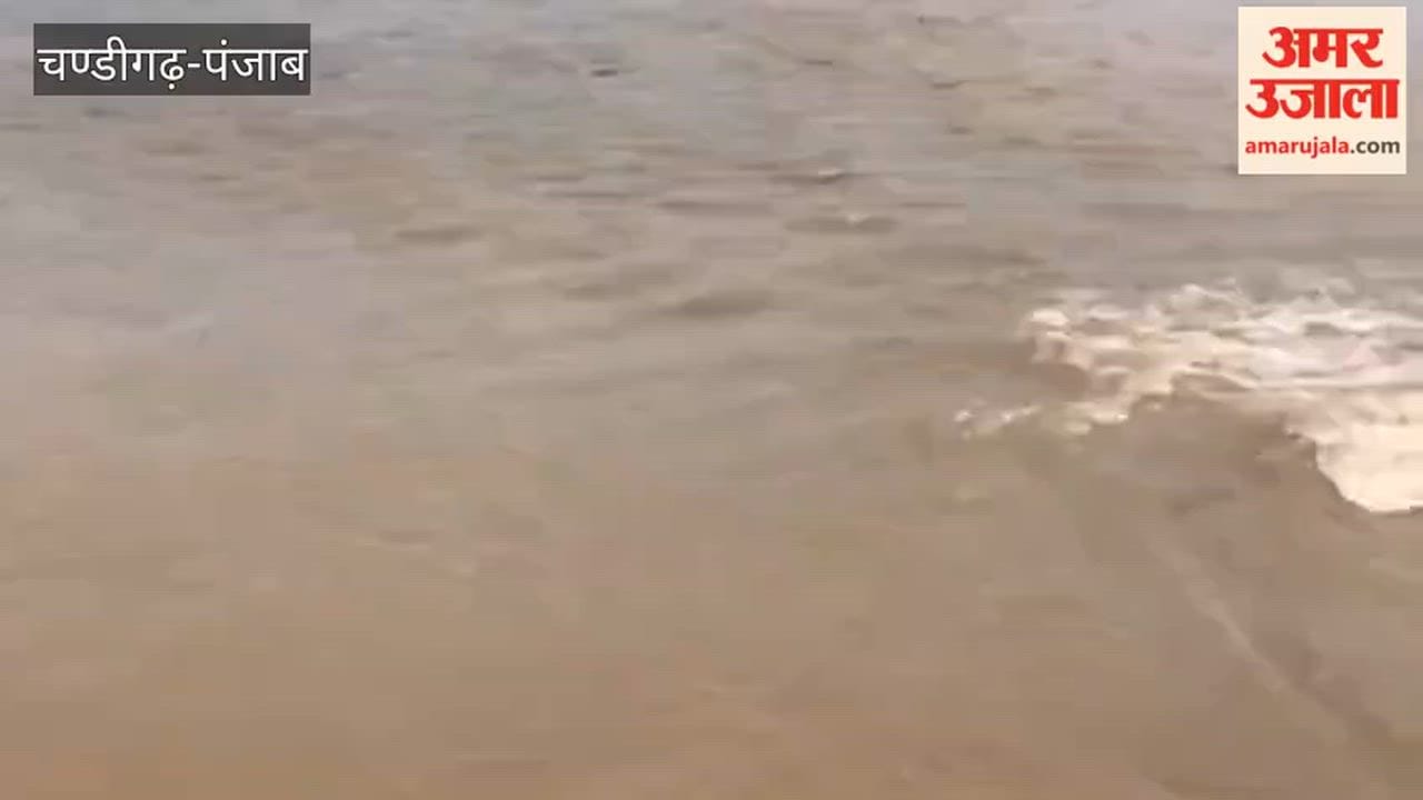 Boote Shah Canal broke at two places in Ferozepur, submerging hundreds of acres of paddy crop; farmers accused the department of negligence.