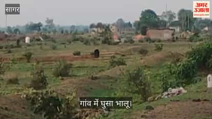 bear entered Bhadrana village in Banda; early in the morning, it attacked two women, leaving them bloodied.