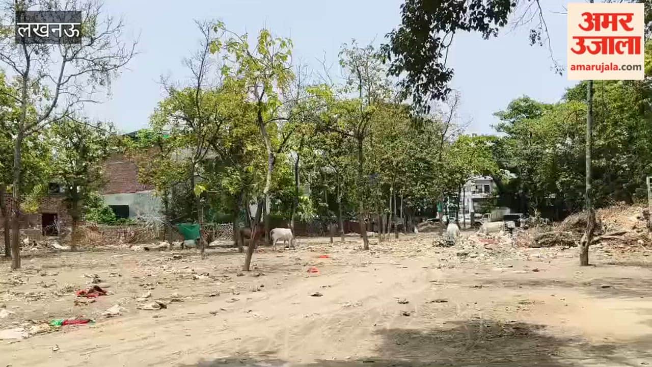 लखनऊ में एलडीए की जमीन पर लगाए गए 500 पेड़ों में 90 फीसदी से ज्यादा लोगों ने काटे