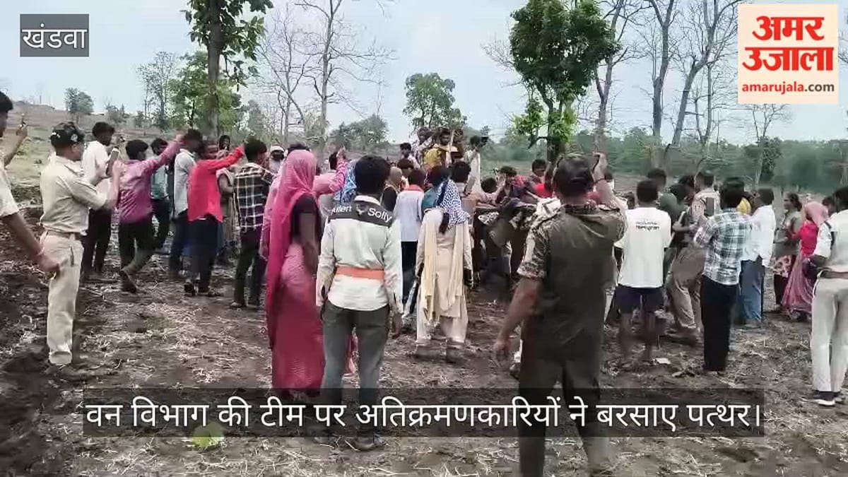 वन विभाग की टीम पर हमला: अतिक्रमणकारियों ने बरसाए पत्थर-लाठियां, आठ वनरक्षक घायल; दो घंटे तक नहीं मिली मदद