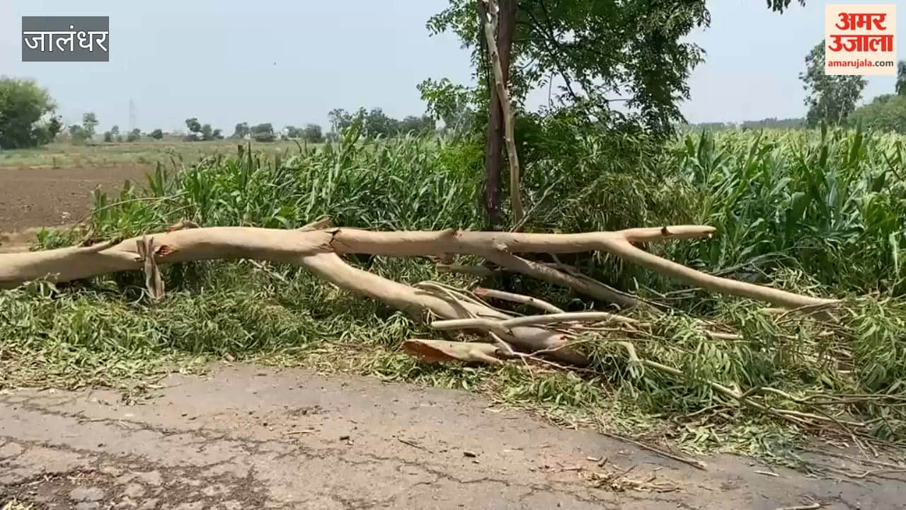 Father and daughter die after tree falls