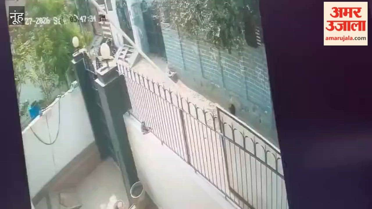 Bike stolen from Nuh Old Bus Stand; watch video