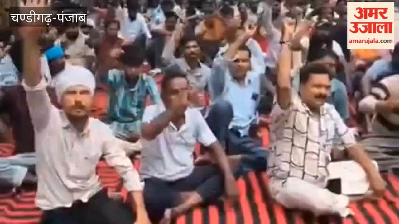 Municipal Council employees in Ferozepur staged a protest over non-payment of salaries.