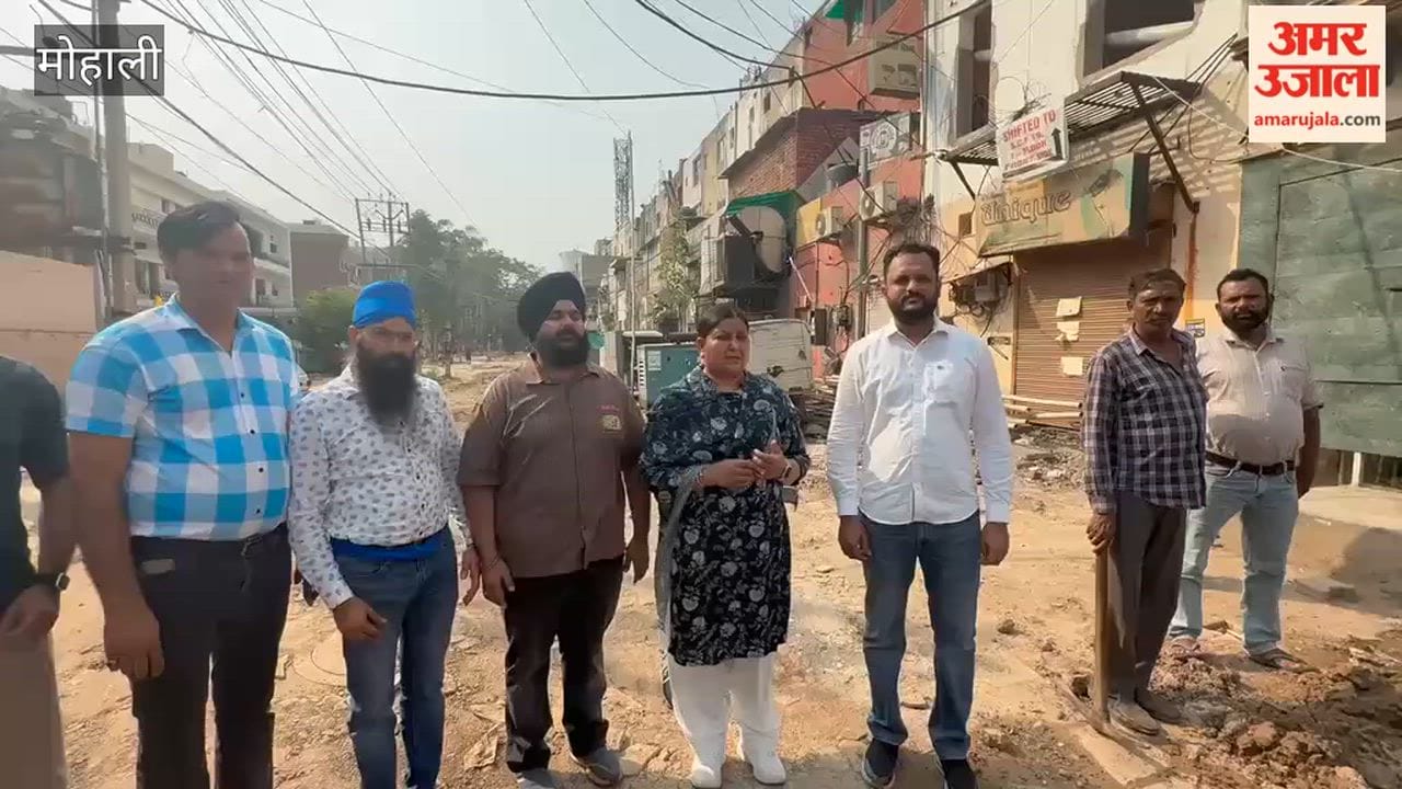 Development work in the Mohali Phase-5 market has increased difficulties for shopkeepers.
