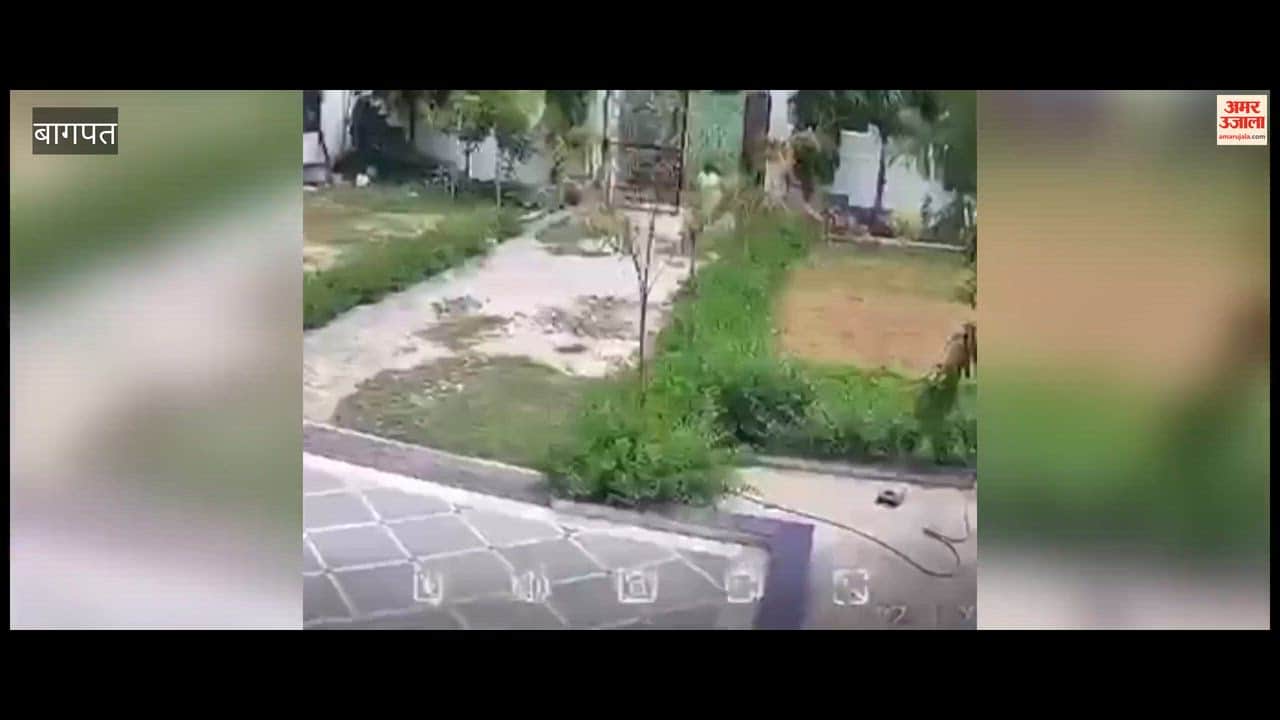 Baghpat: Milk Trader Allegedly Attacked by Pet Dog Over Money Dispute in Baghpat