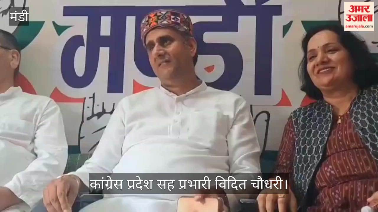 Vidit Chaudhary said—the BJP stole votes, MPs, and donations.