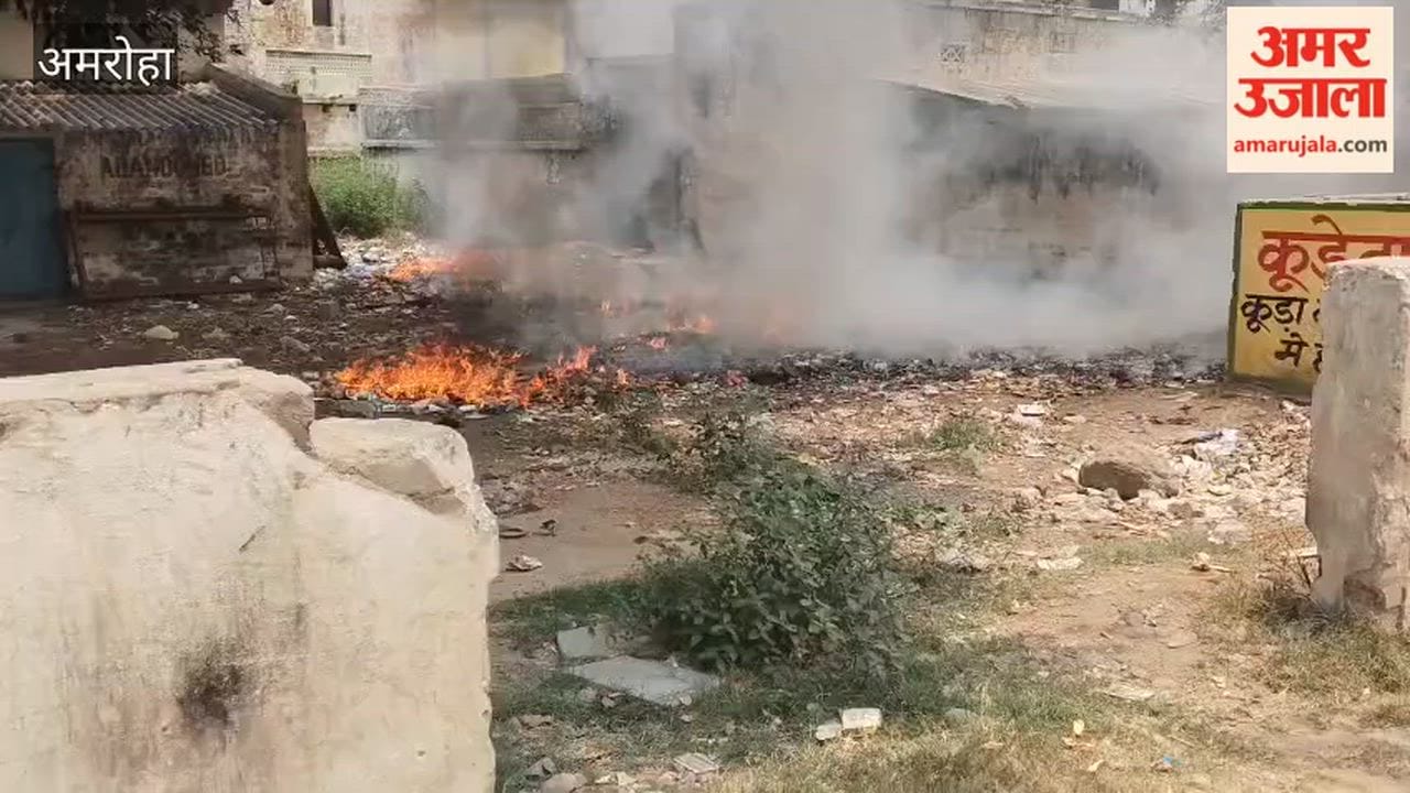 Burning garbage and burning scorched green trees, causing smoke pollution
