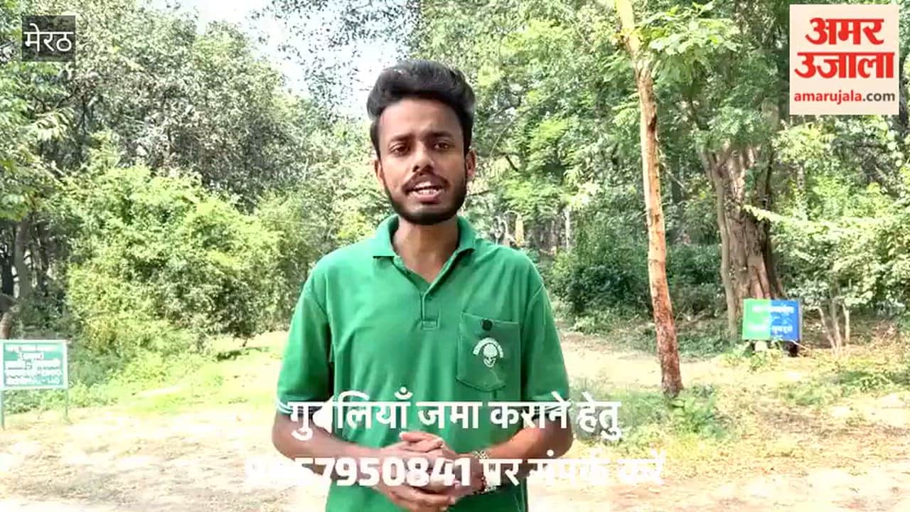 Greenery will be made from kernels: Environment Club's Meri Guthli Mera Ped campaign started, logo launched