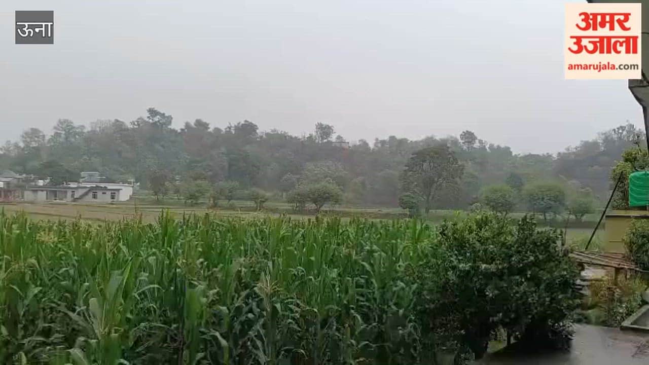una first monsoon rain brings relief to farmers