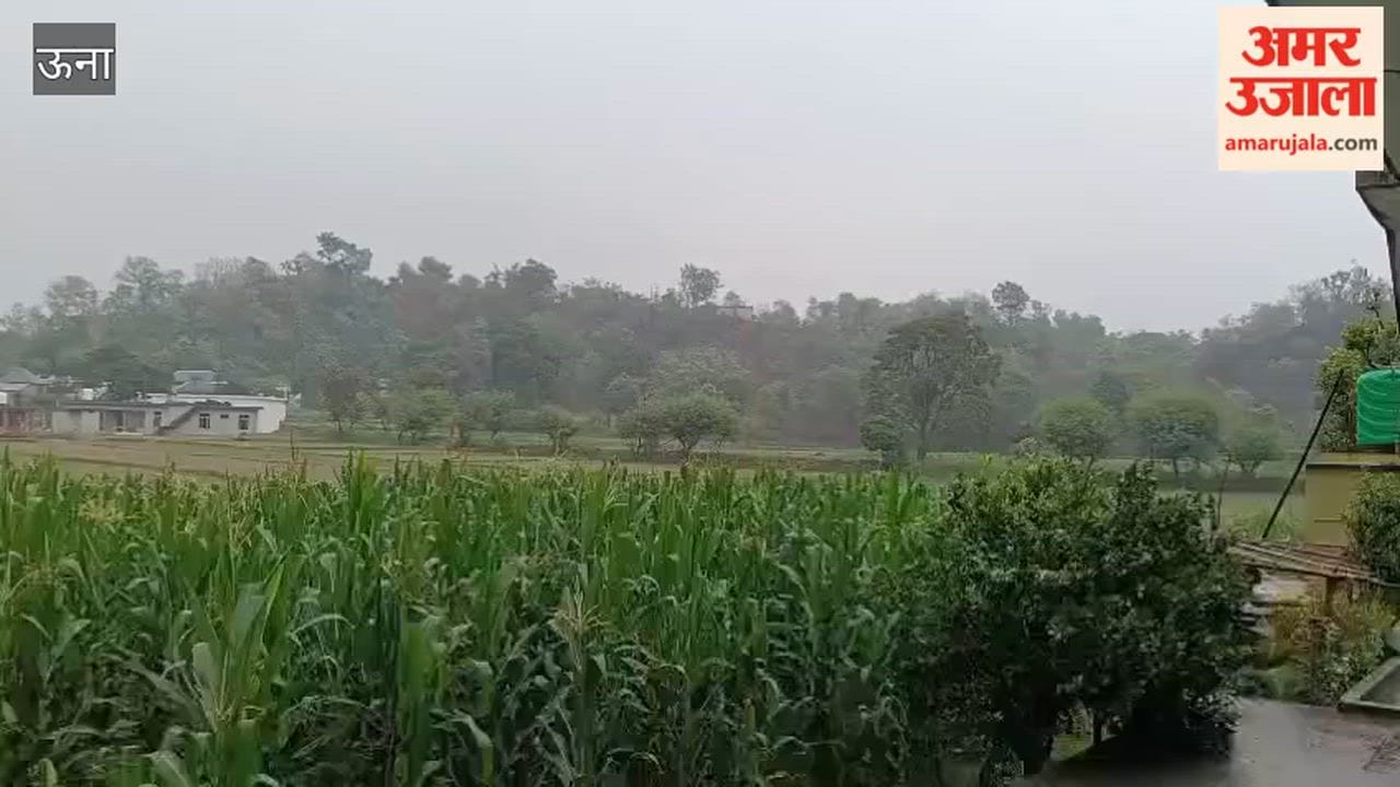 una first monsoon rain brings relief to farmers