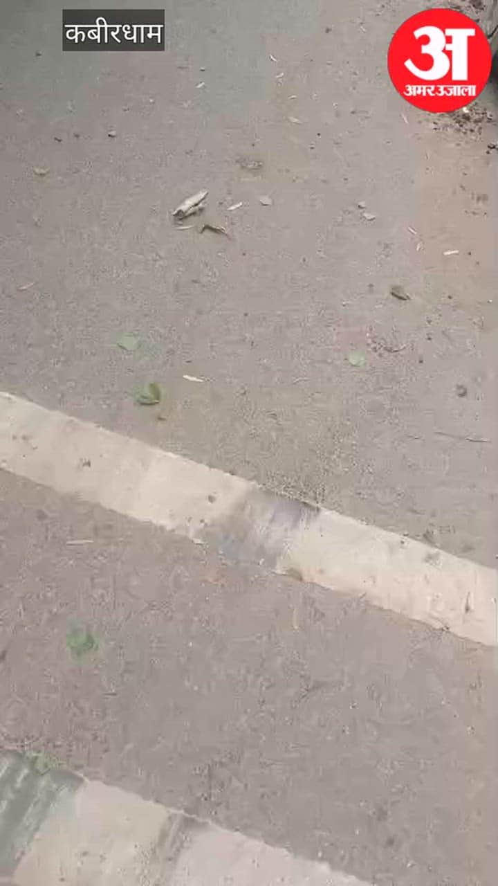person died in a horrific road accident in Kabirdham