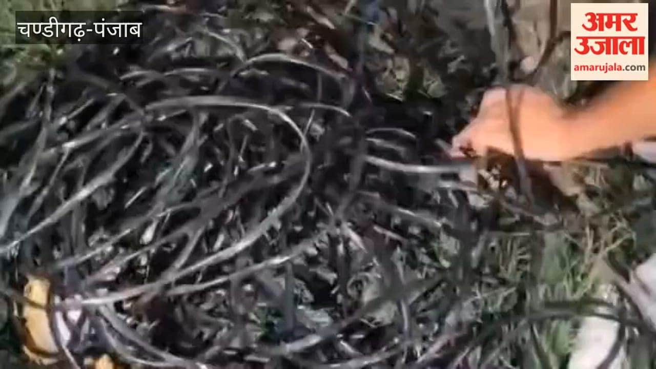 Villagers in areas bordering the Hussainiwala border are facing difficulties due to the operation of tubewell motors using domestic electricity connections.