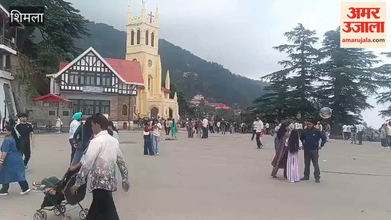 shimla weather pleasant after rain tourist rush public holiday