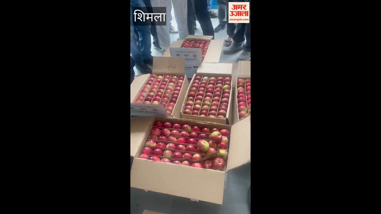 parala fruit market tydeman apple price 2311 per box