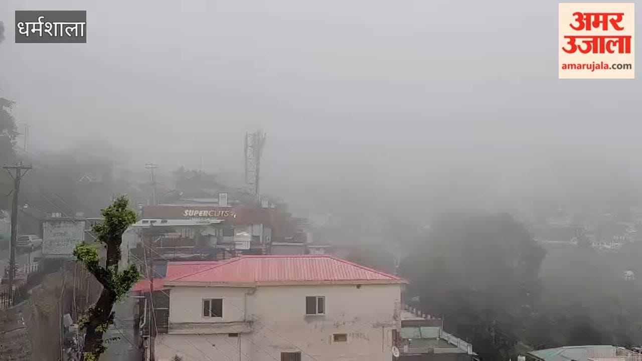 dharamshala rain weather pleasant paddy plantation relief
