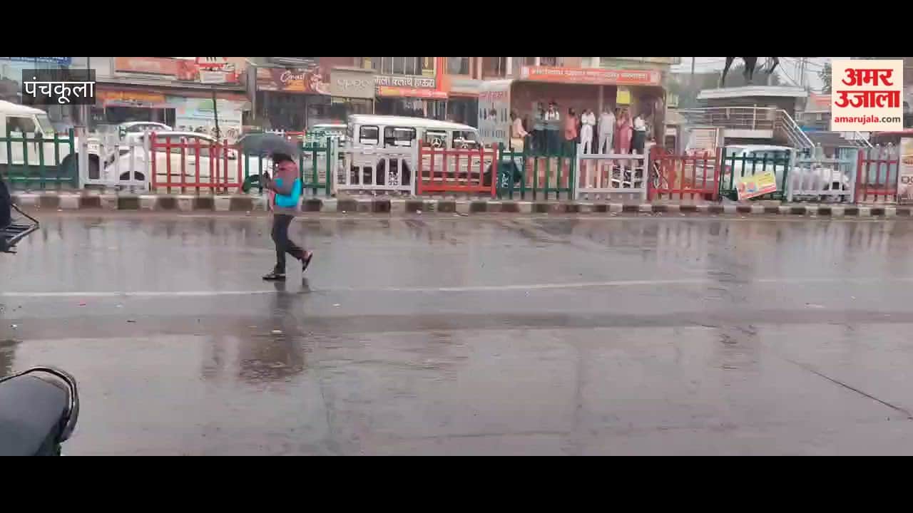 rain brings relief from the heat in Panchkula.