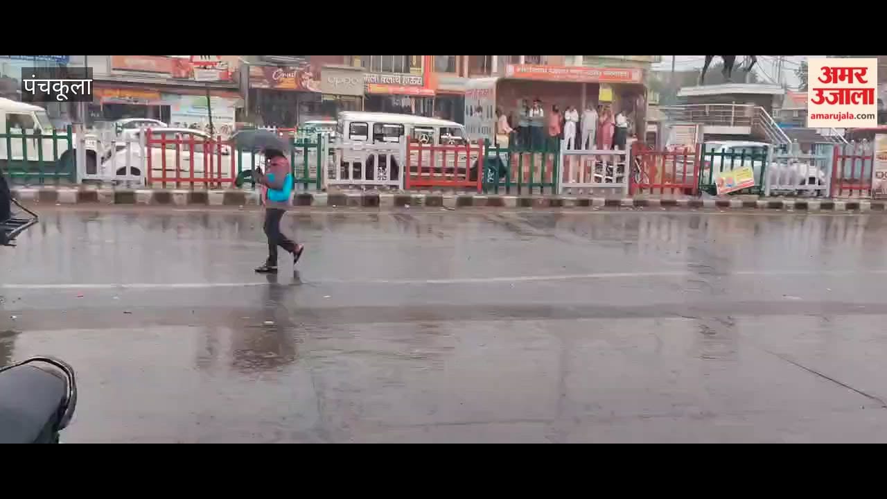 rain brings relief from the heat in Panchkula.