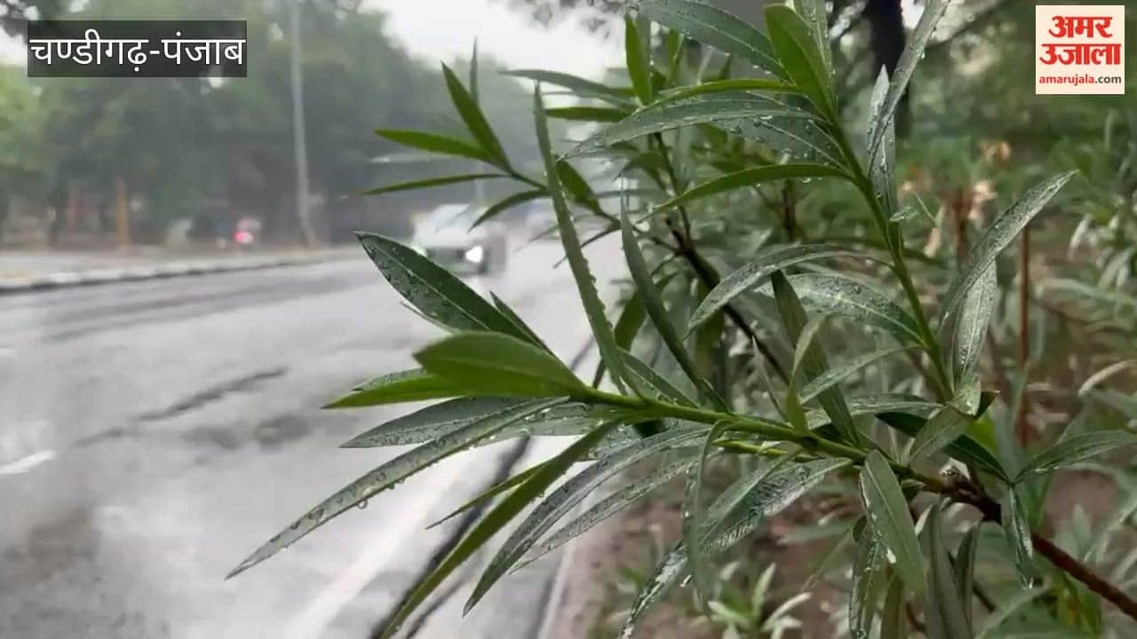 Rain in chandigarh