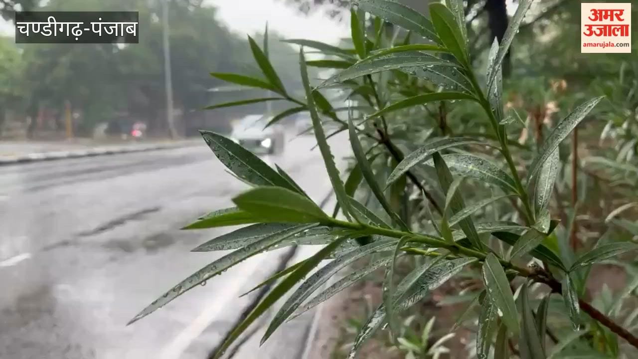 Rain in chandigarh