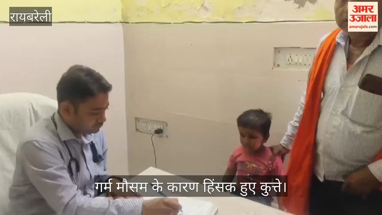 VIDEO: मौसम के बदले मिजाज से कुत्ते हुए हमलावर, 80 लोगों को काटा, जिला अस्पताल में लगवाई एआरवी