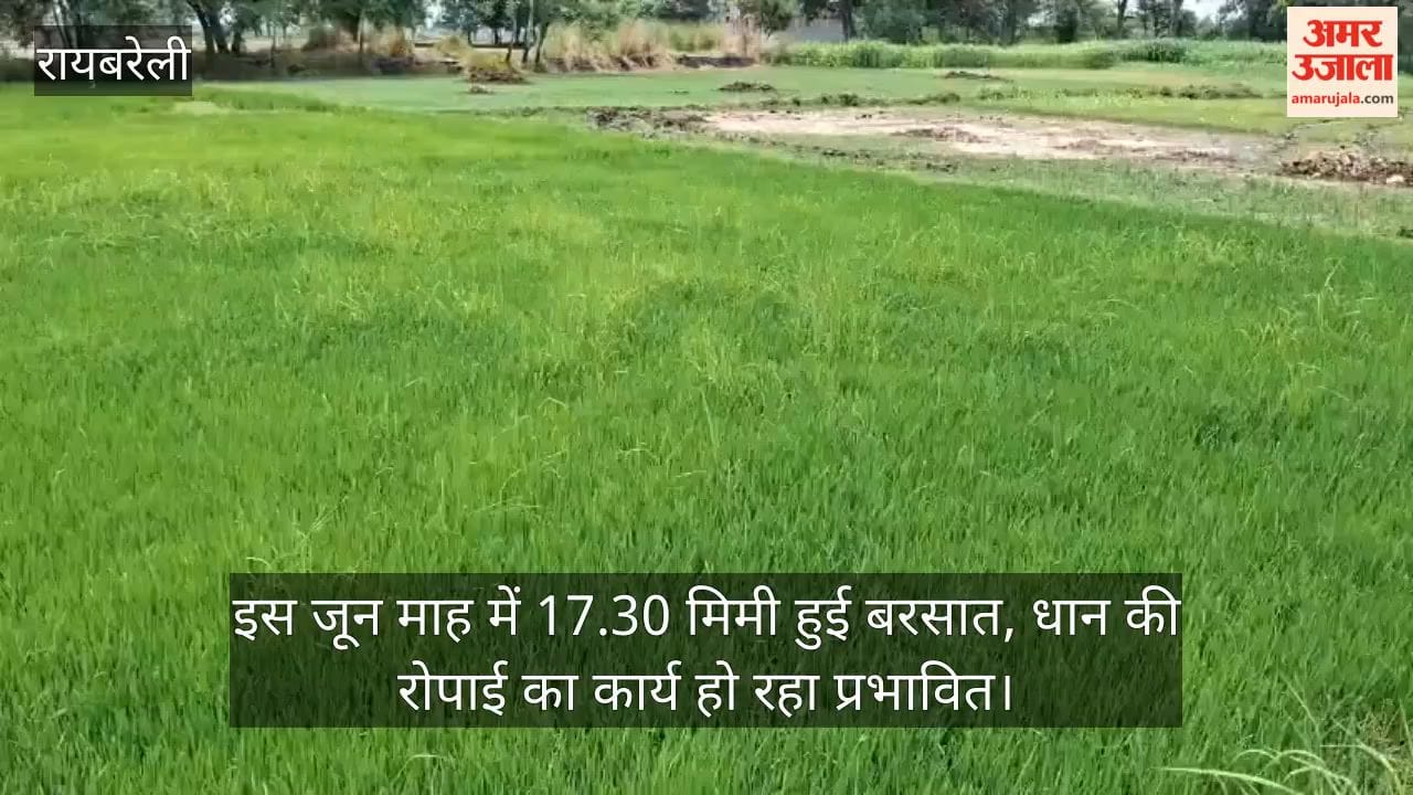 VIDEO: बारिश के इंतजार में बीत रहे दिन, धान की रोपाई का कार्य प्रभावित, एक लाख 61 हजार हेक्टेयर क्षेत्रफल पर होनी है रोपाई