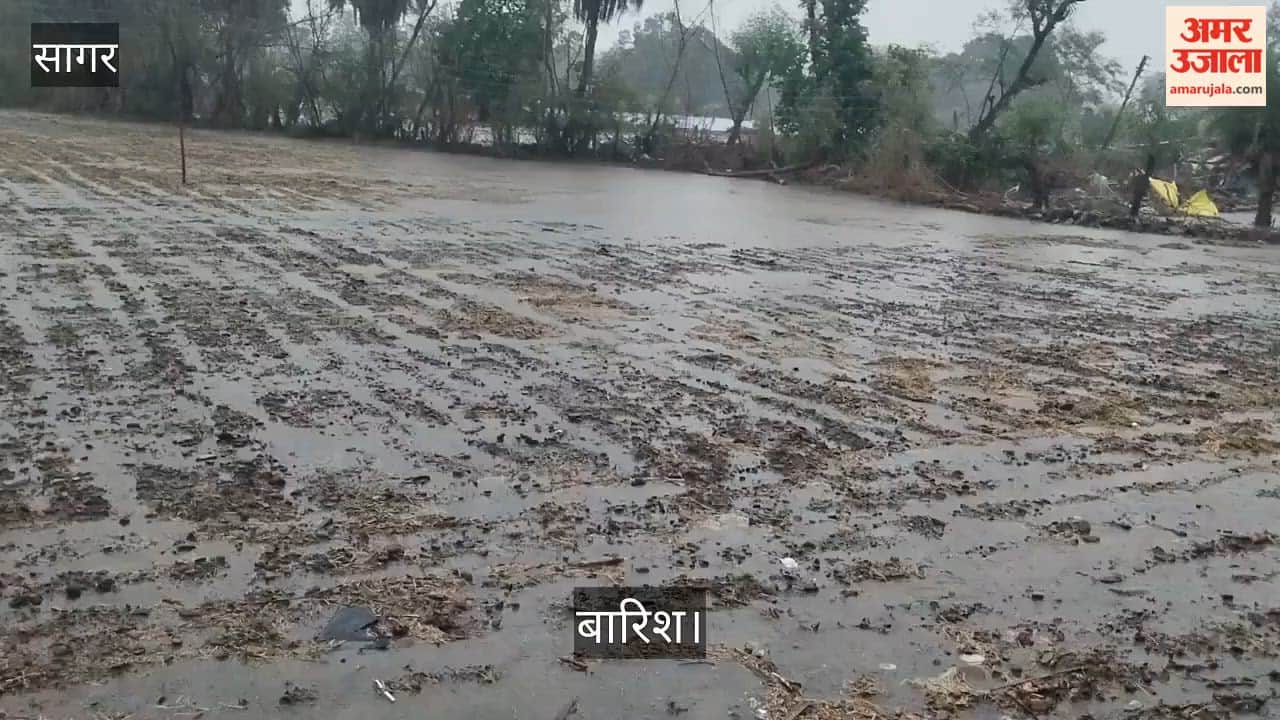 sagar monsoon rain bundelkhand kharif sowing urad maize farmers weather update