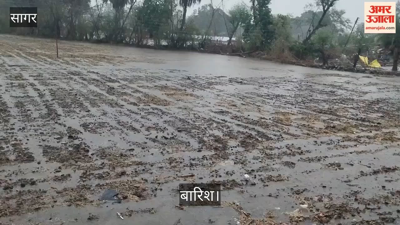 sagar monsoon rain bundelkhand kharif sowing urad maize farmers weather update