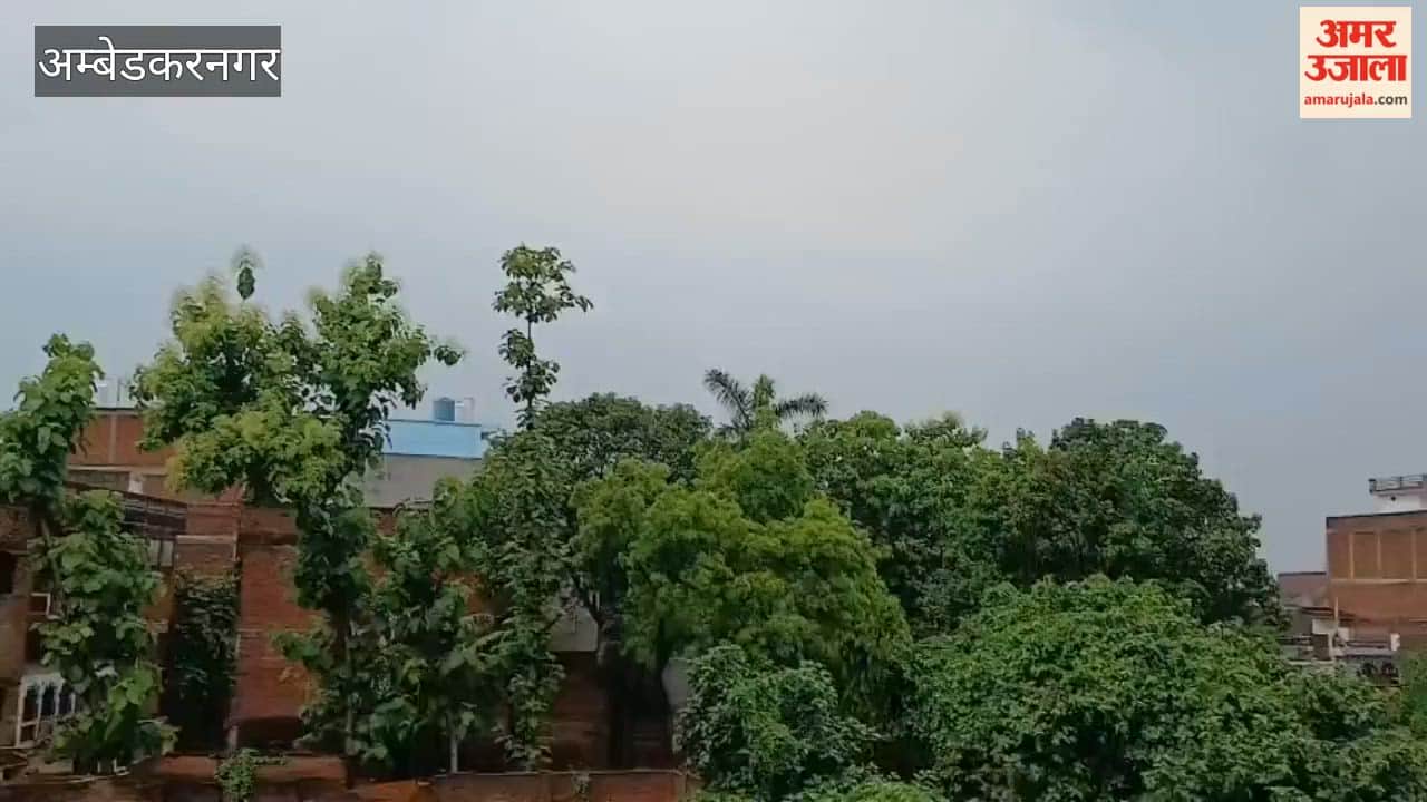 अंबेडकरनगर में सुबह-सुबह हुई बारिश से गर्मी में राहत, किसानों के खिले चेहरे